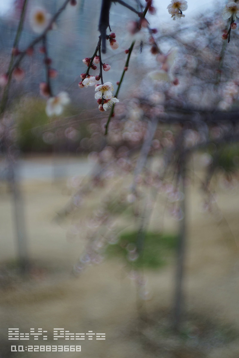 DSC03179_.jpg