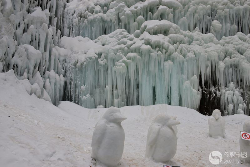 龙庆峡冰雪景观-行摄风光-36行南阳社区-36.01