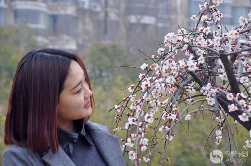 美女配梅花