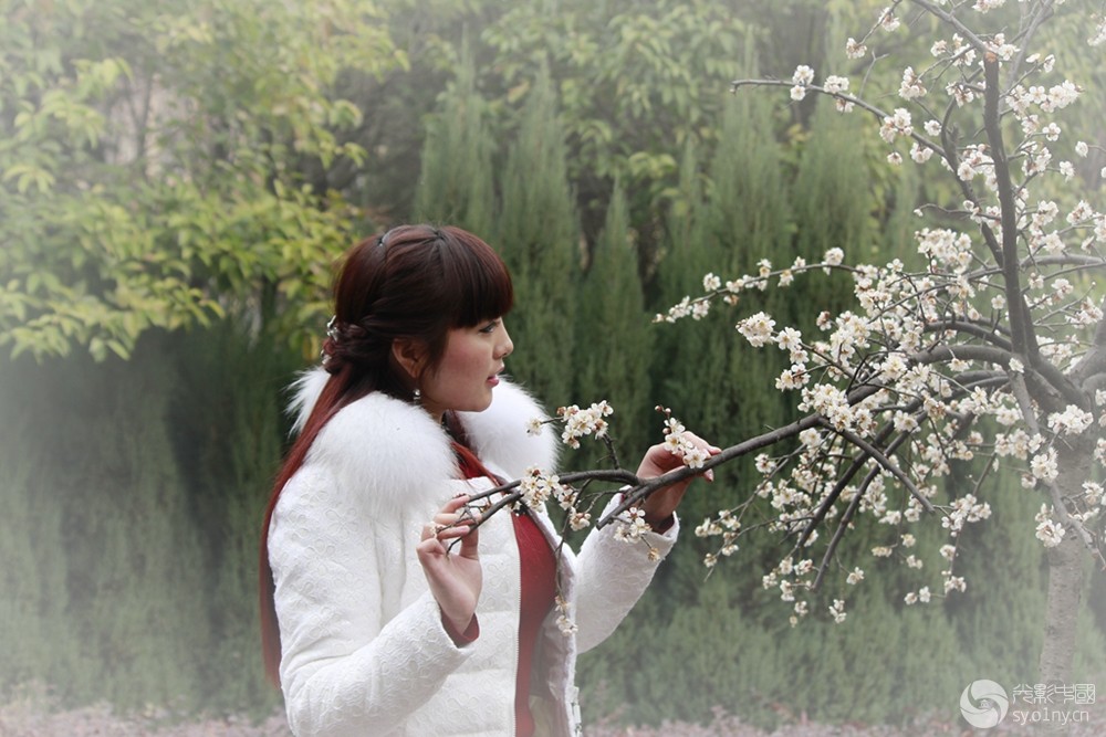 美女与梅花