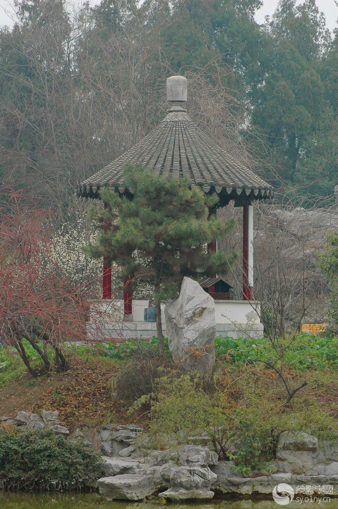 DSC_1148_.jpg