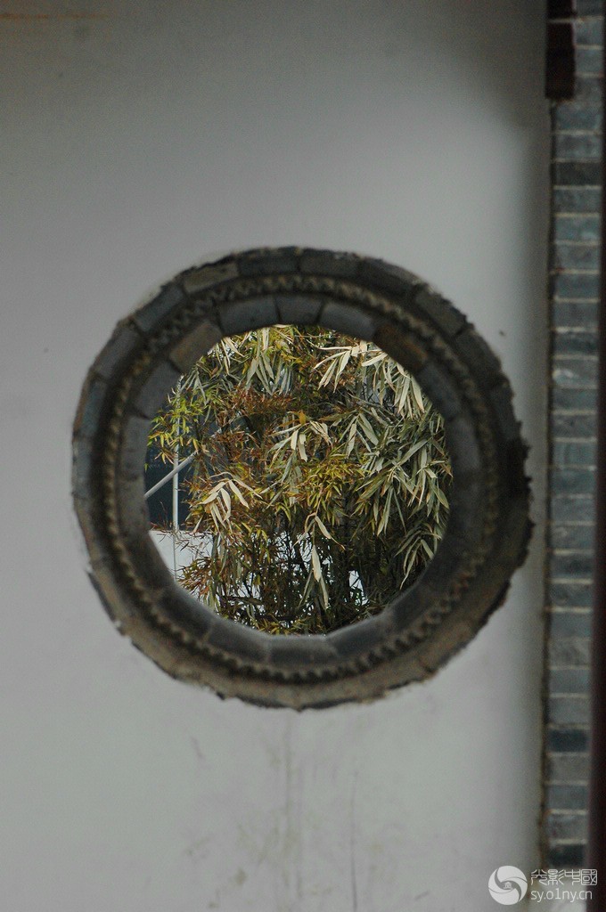 DSC_1166_.jpg