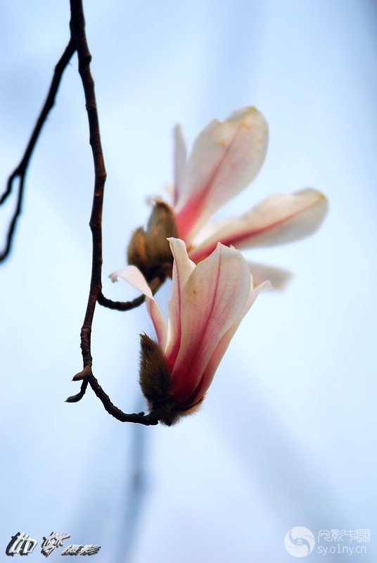DSC_0004.jpg