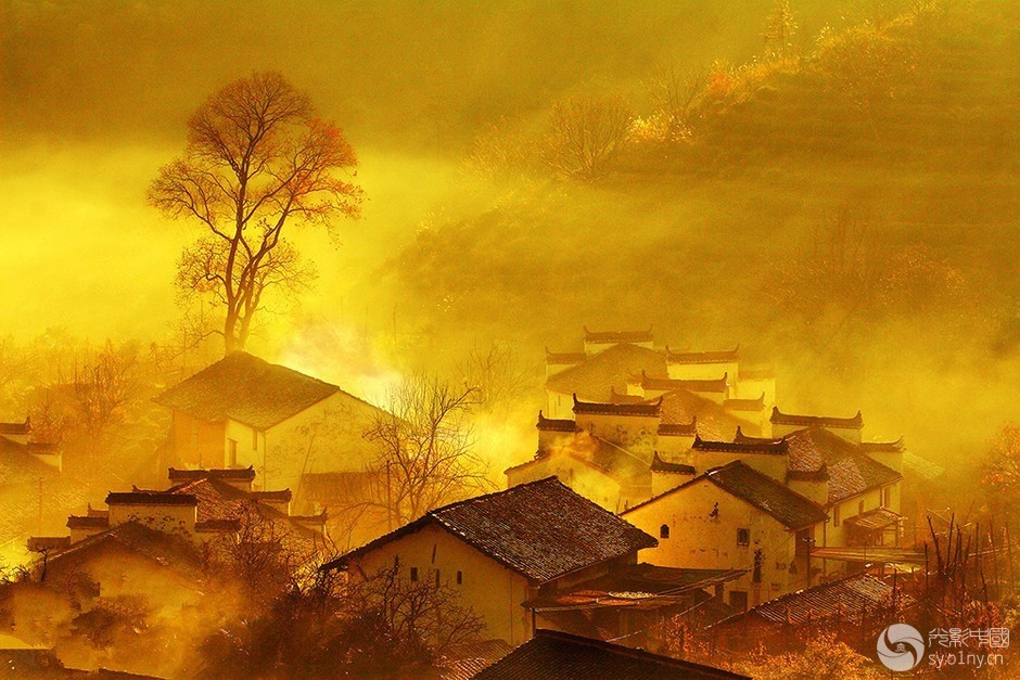 [邓州]碧玉妆成一树高,万条垂下绿丝绦。