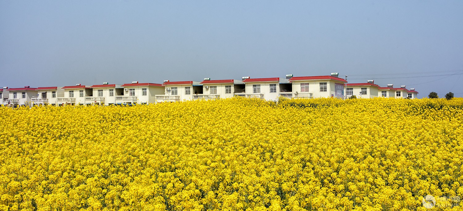 【原创】走进淅川移民新村