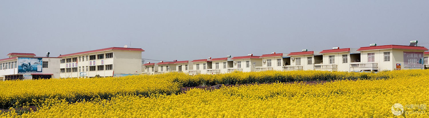 【原创】走进淅川厚坡移民新村