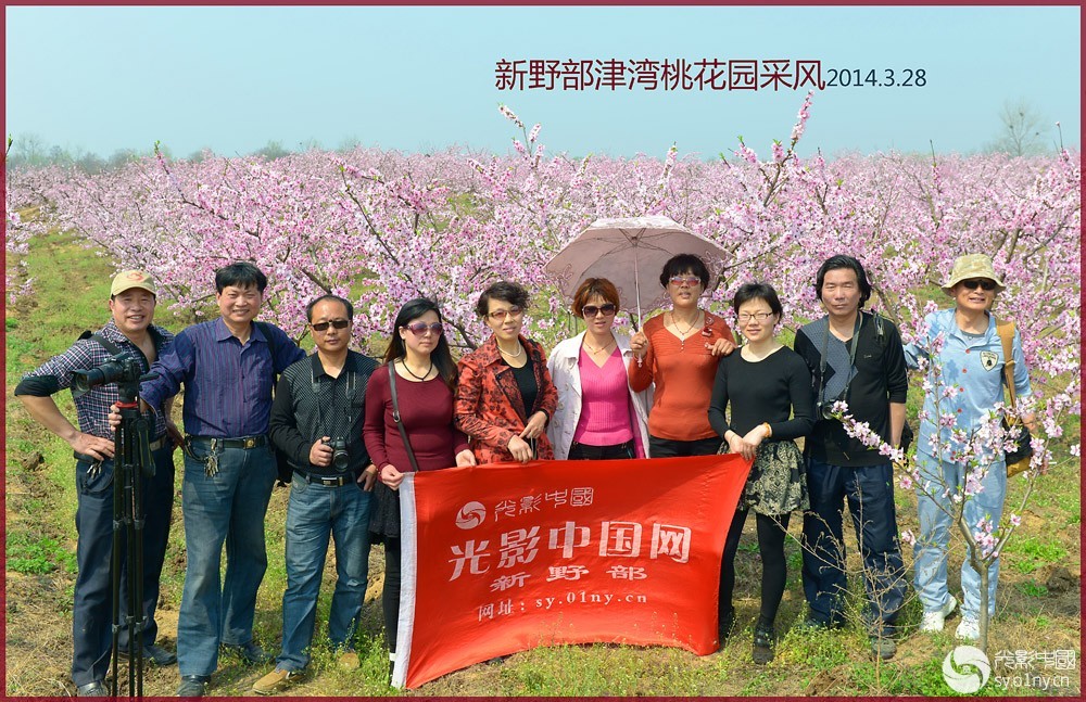 新野部津湾桃花园采风活动汇集