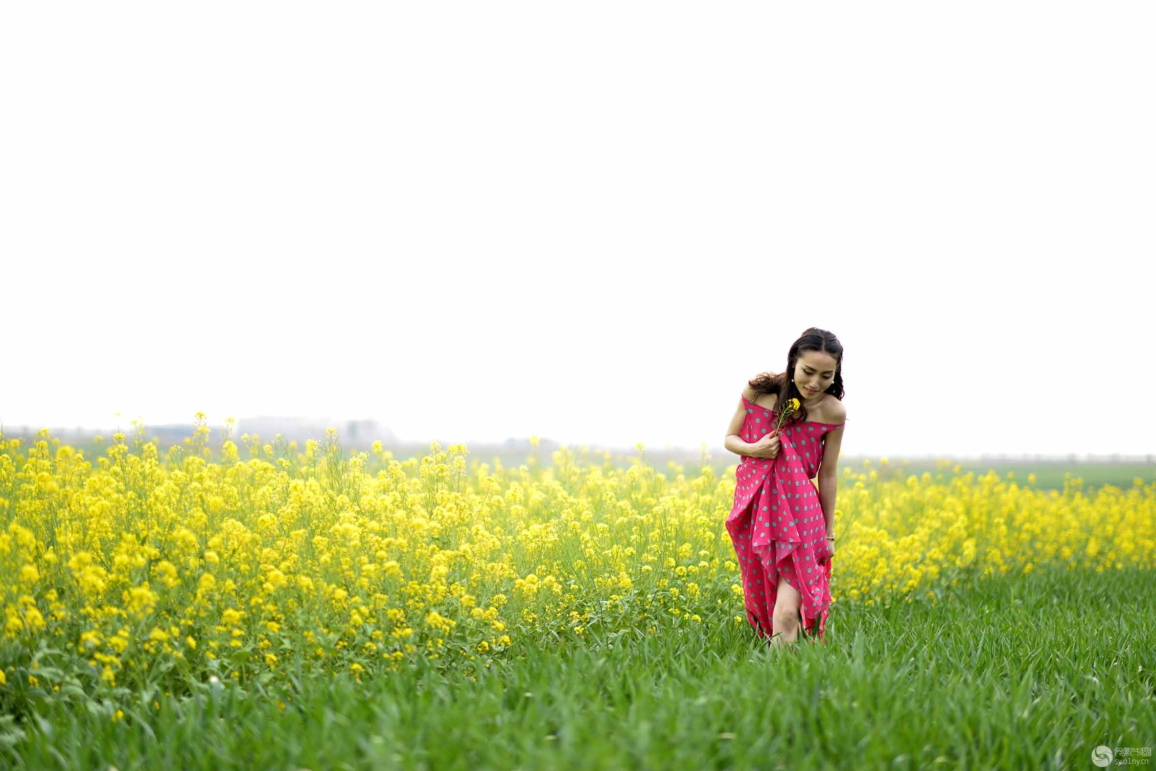 油菜花中的美少女-3