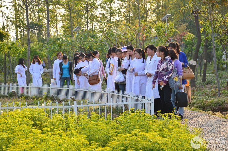 理工学院学生上中药植物课