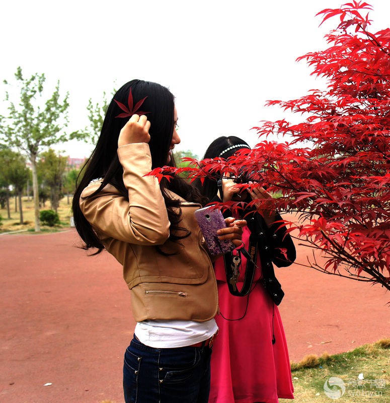 体育摄影部花季微距拍摄活动花絮