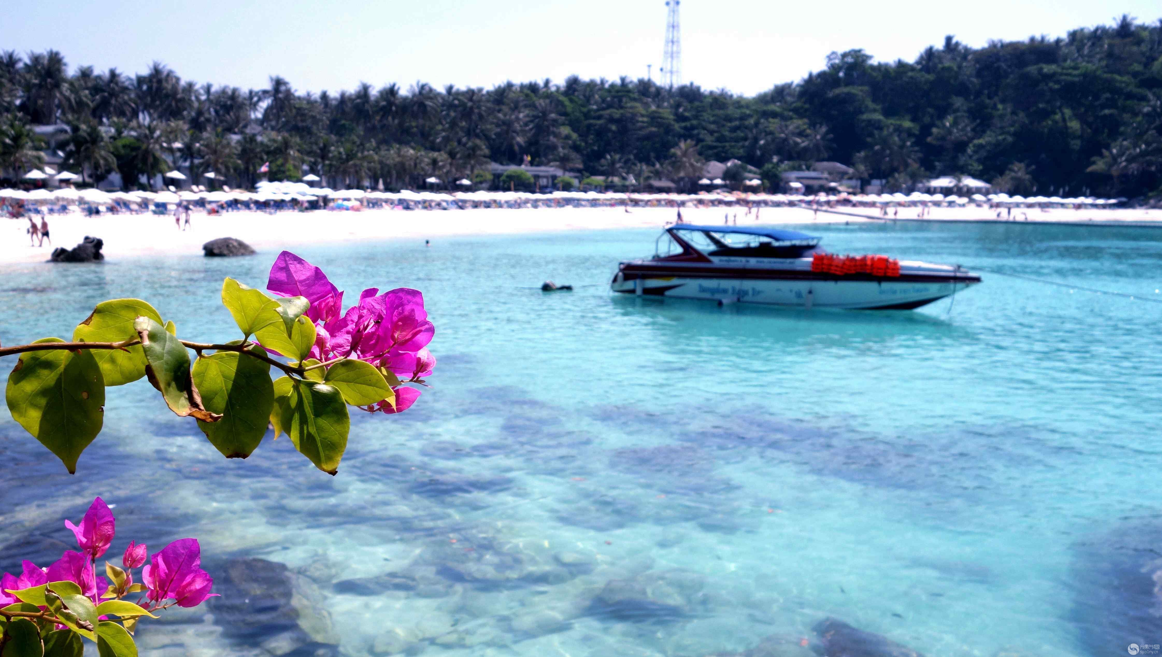 泰国布吉岛-新手图集-36行南阳社区-36.01ny.cn