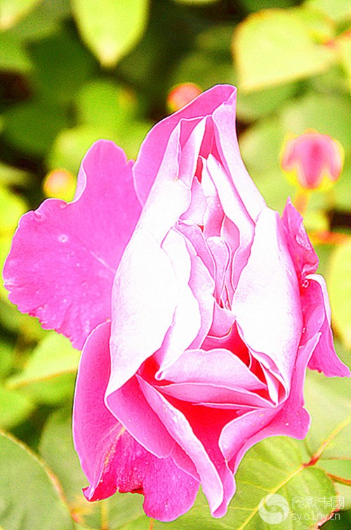 Ƭ 099__.jpg