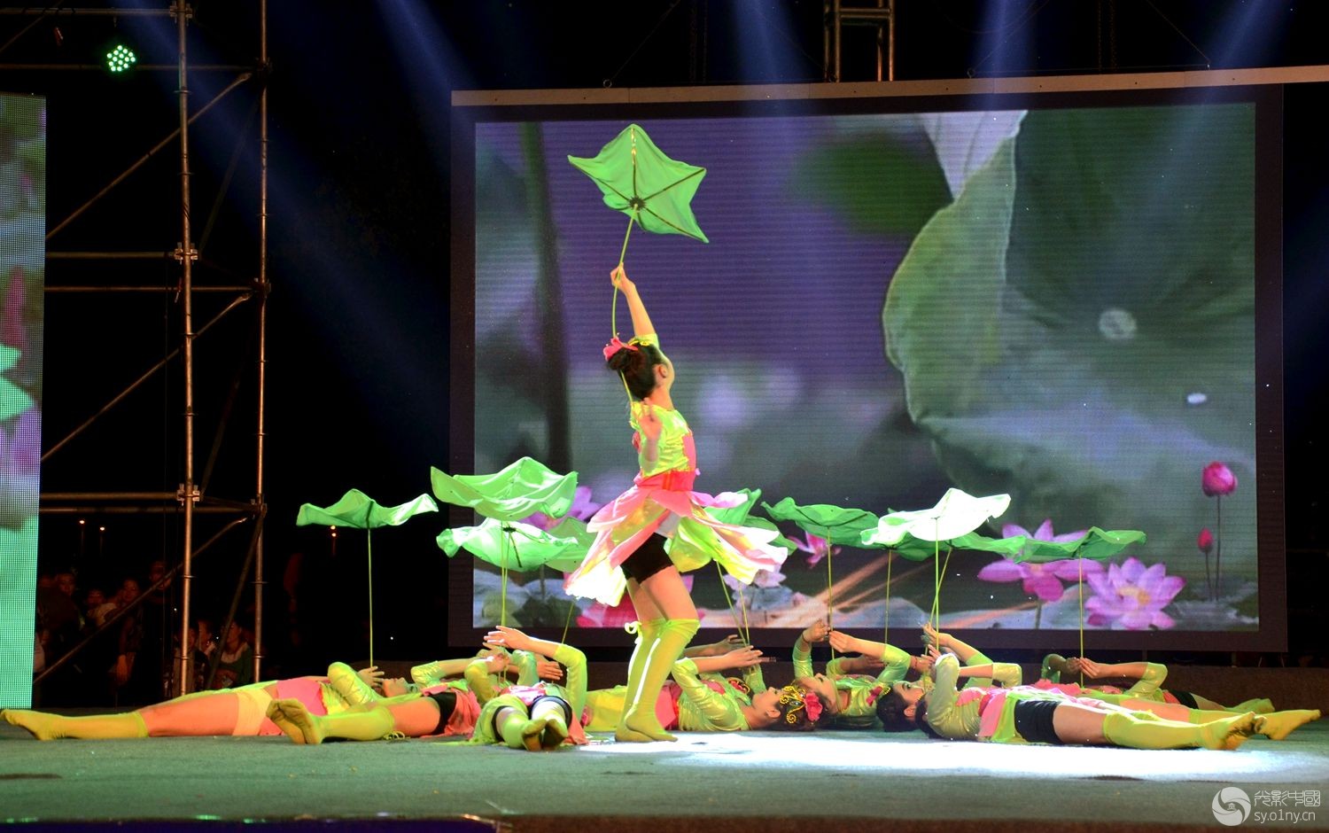 “唱响白河”演出中的荷花舞-新闻纪实-36行南阳社区-36.01ny.cn