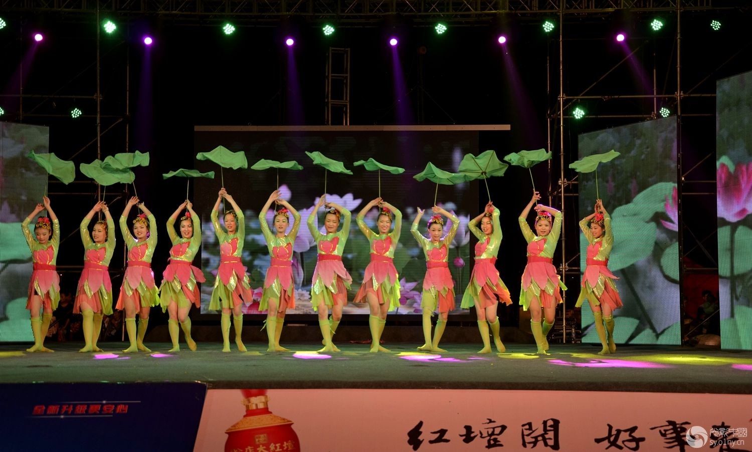 “唱响白河”演出中的荷花舞-新闻纪实-36行南阳社区-36.01ny.cn