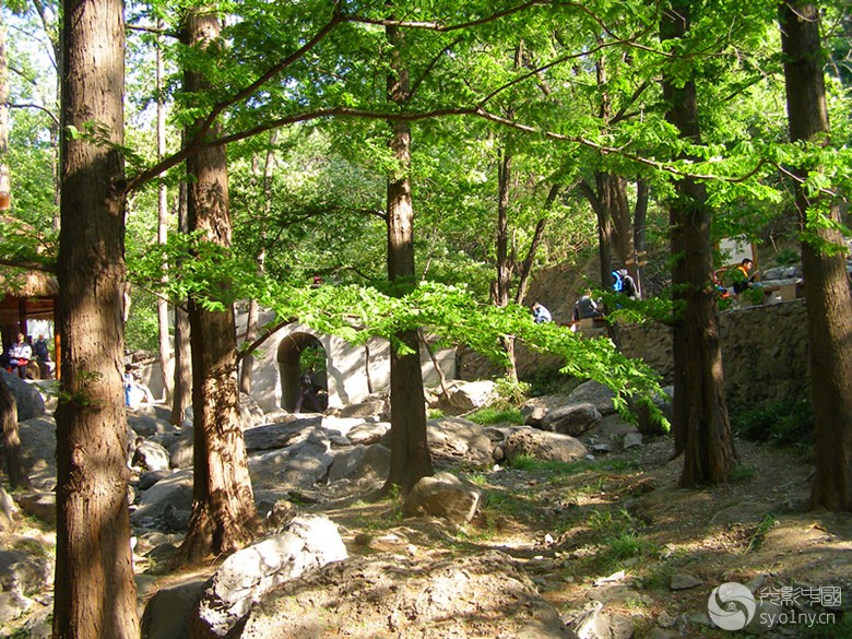 北京植物园樱桃沟