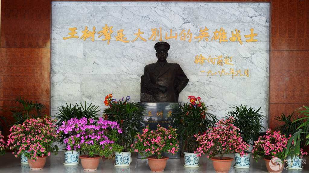 大别山英雄 王树声大将