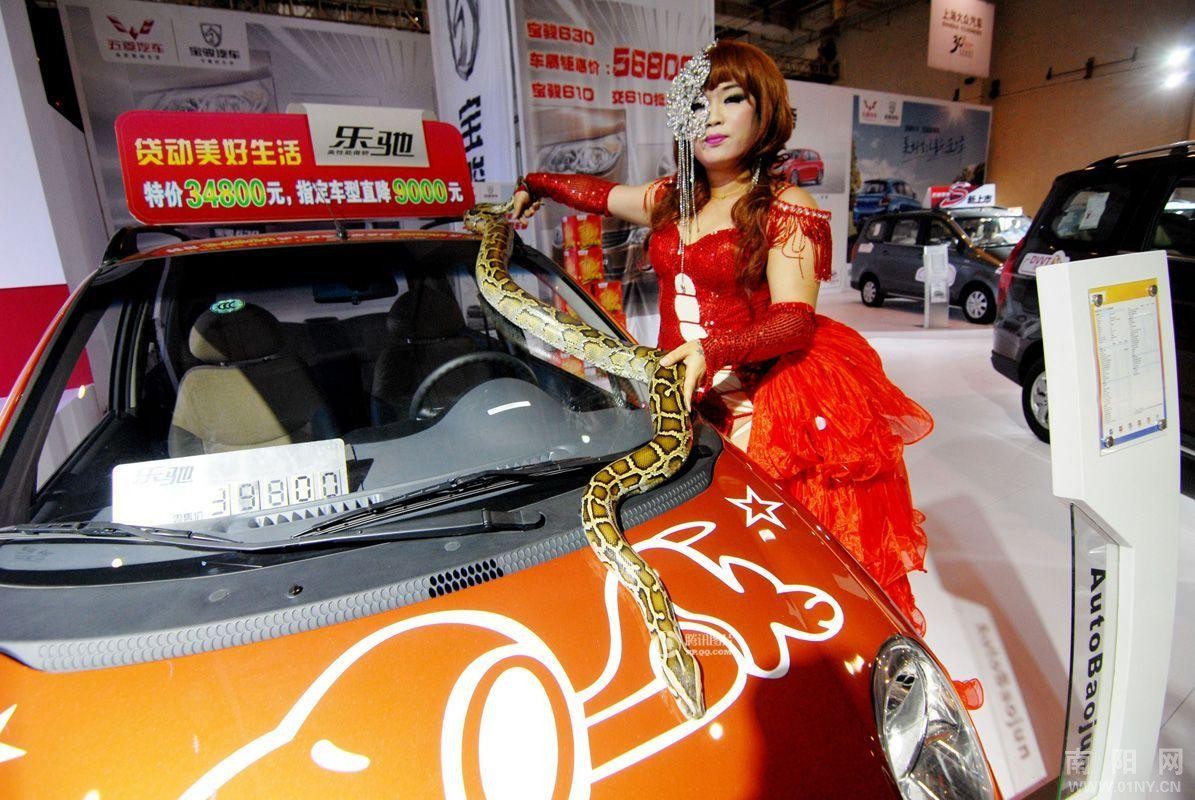 青岛车展车模抱蟒蛇吸引人气-糗事百科-36行南