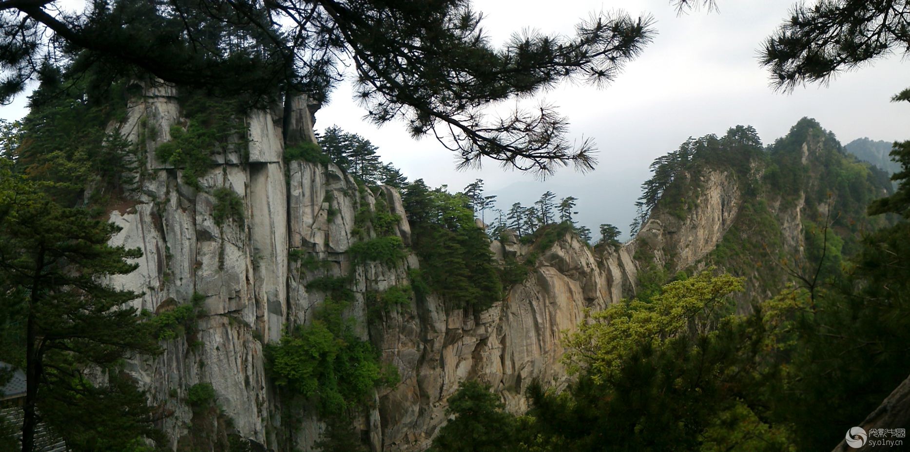 宝天曼骆驼峰(米3手机拍)