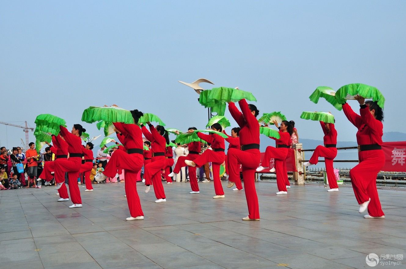 魅力广场舞(一)