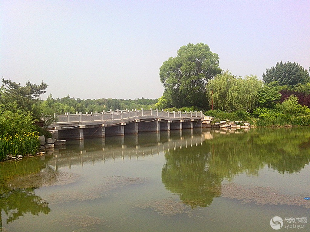 潍坊湿地公园