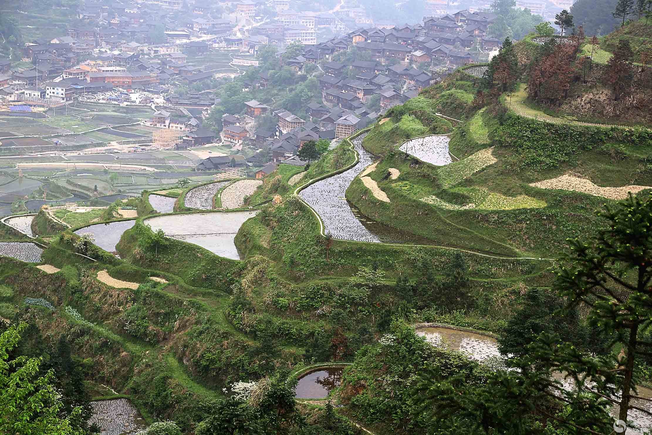 西江田园风光一