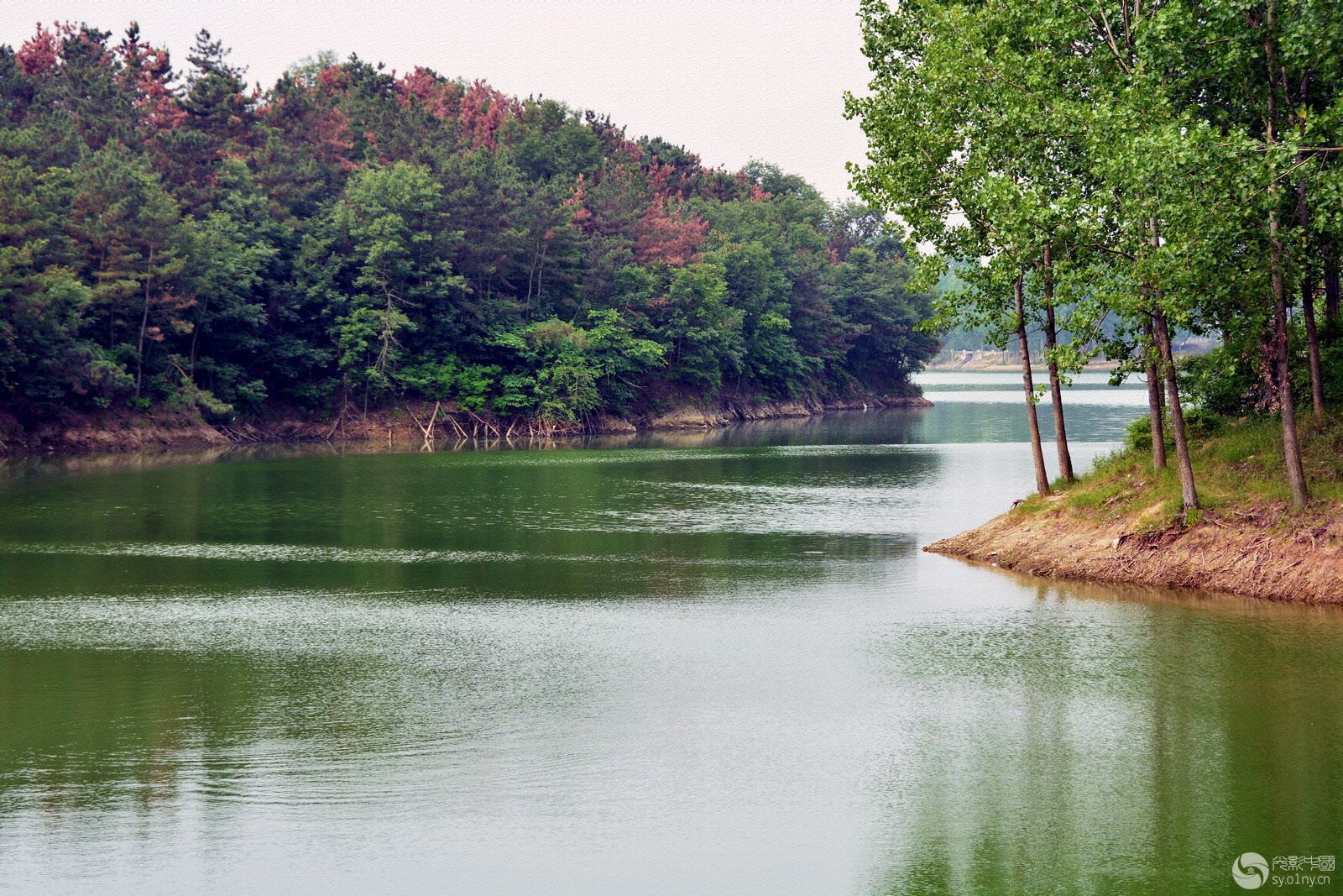 琴溪湖风景