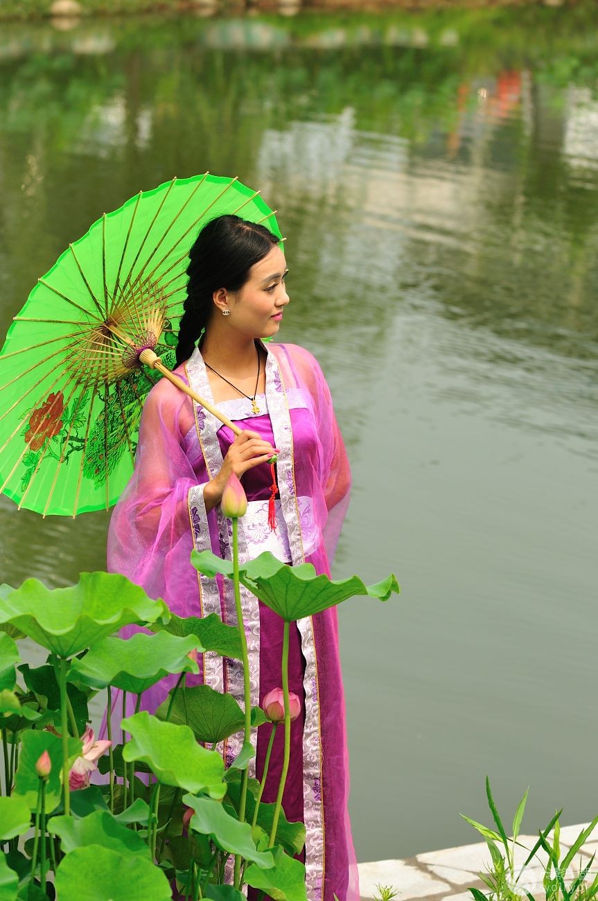 【 荷花仙女 】 (三)
