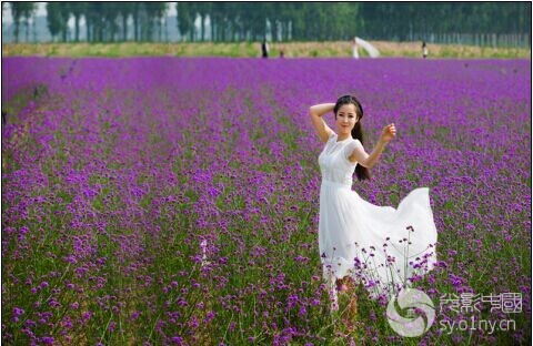 (报名截止)7月3日,光影中国网"薰衣草人像"拍摄活动召集帖