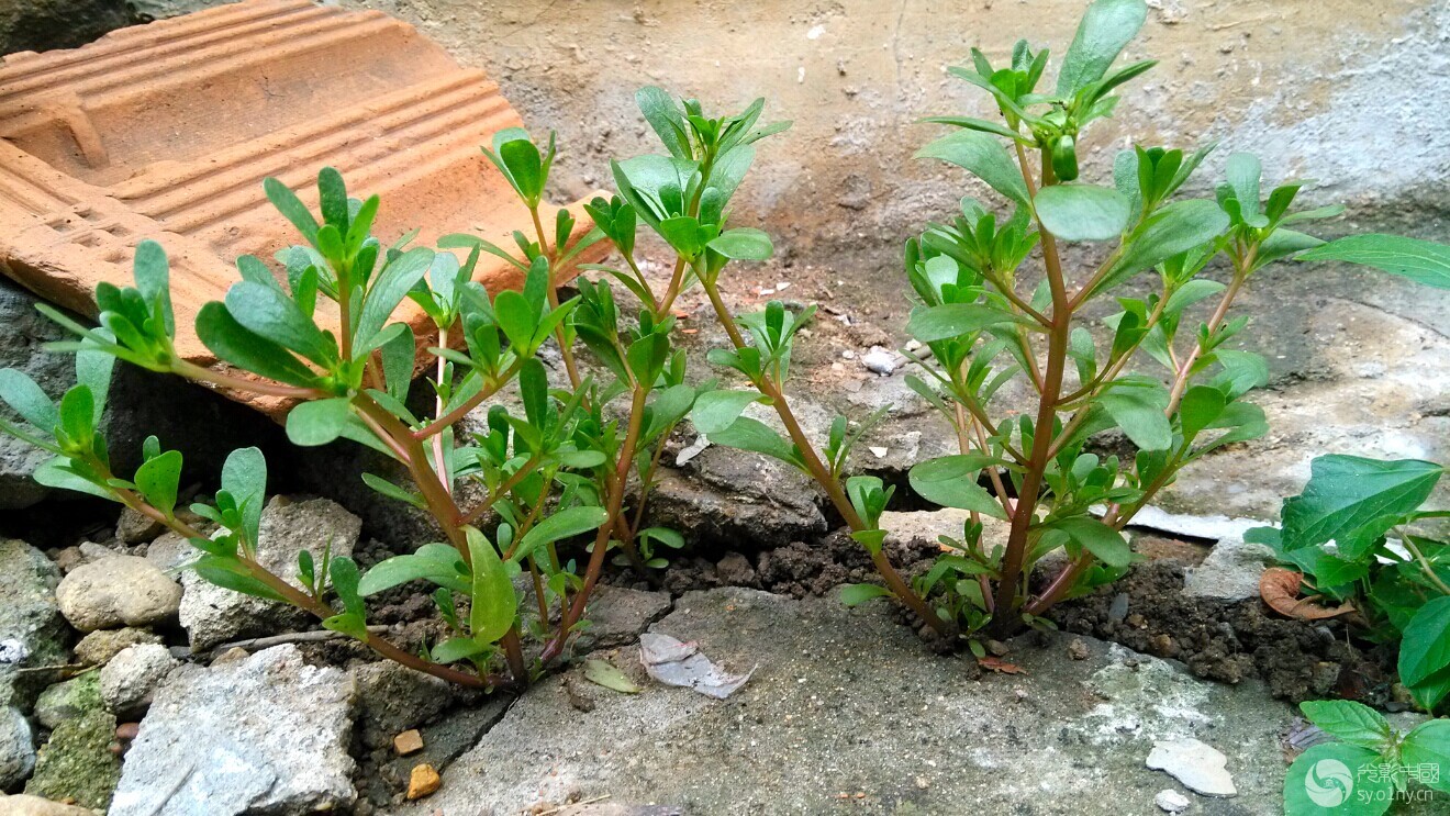 QQͼƬ20140702160553.jpg