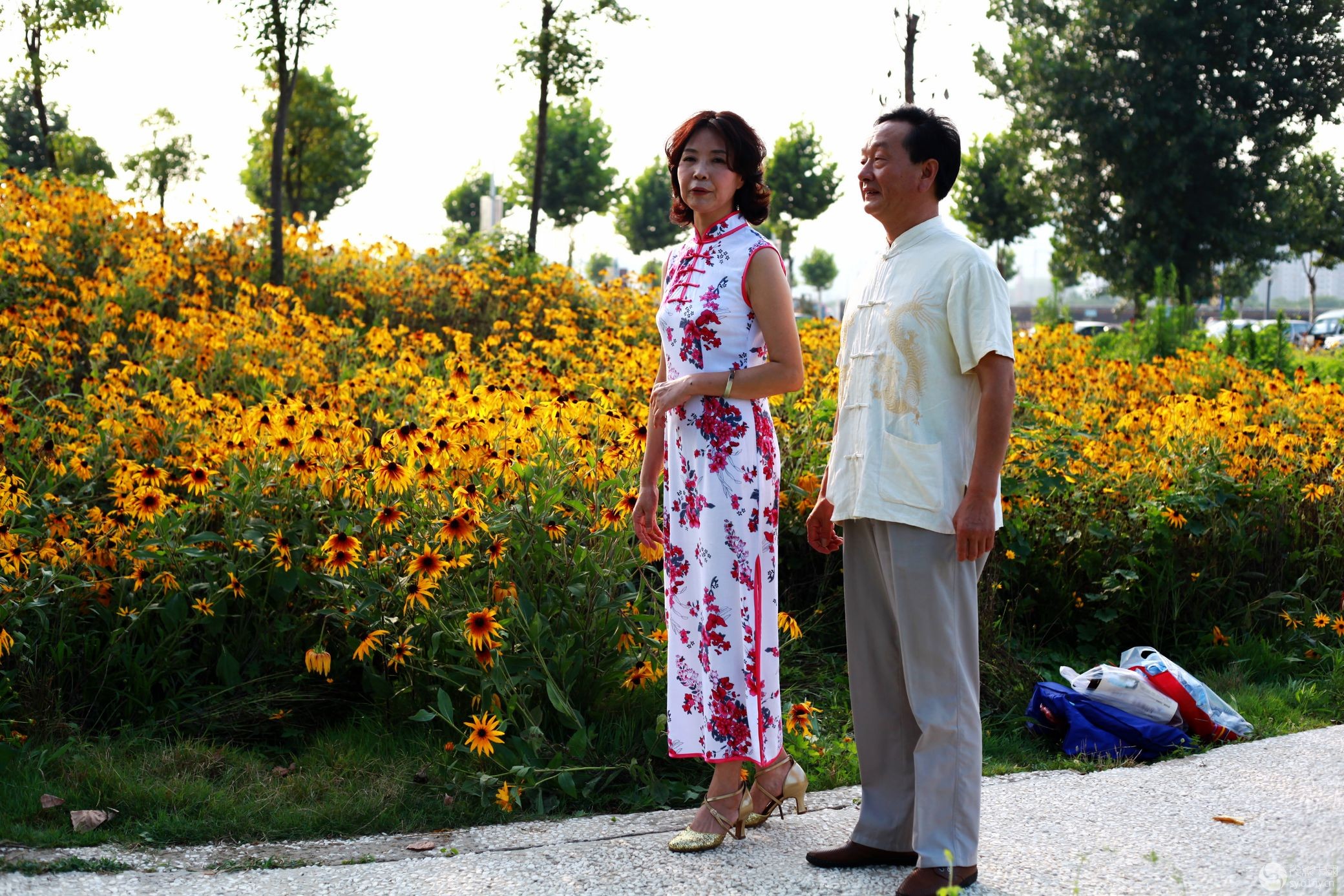 李宁体育园风光人像拍摄活动作业(晚情-老来伴)