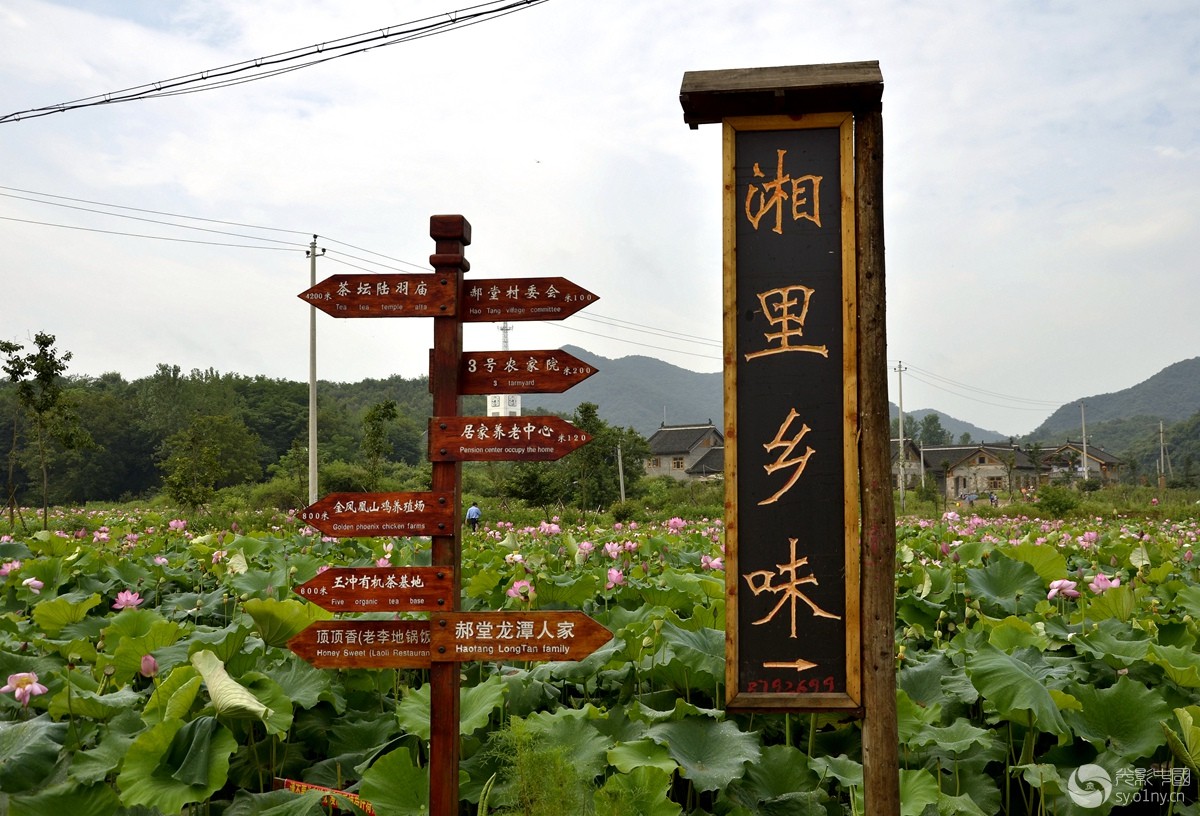 风雨南阳部最美乡村拍摄活动纪实