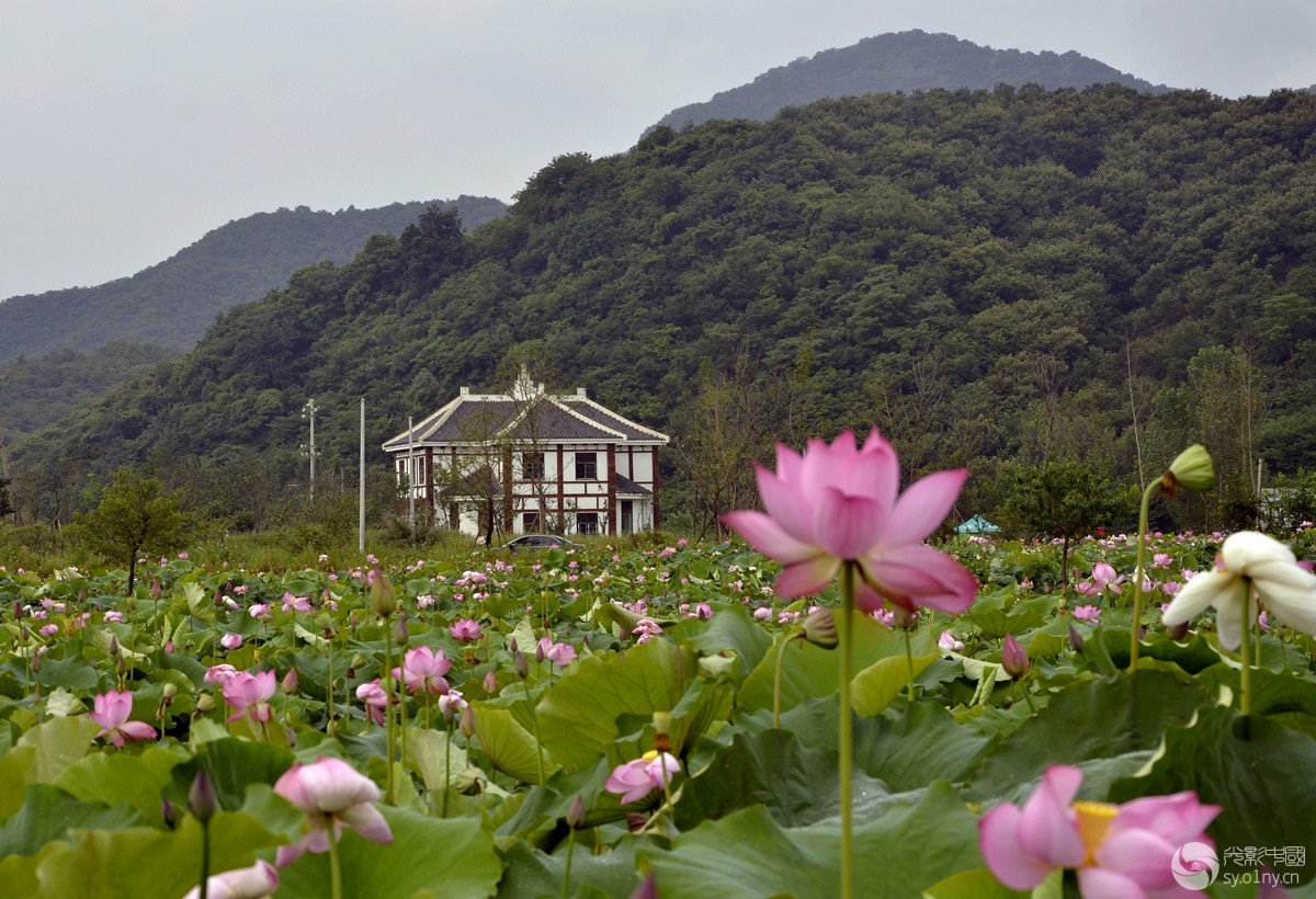 信阳郝堂村