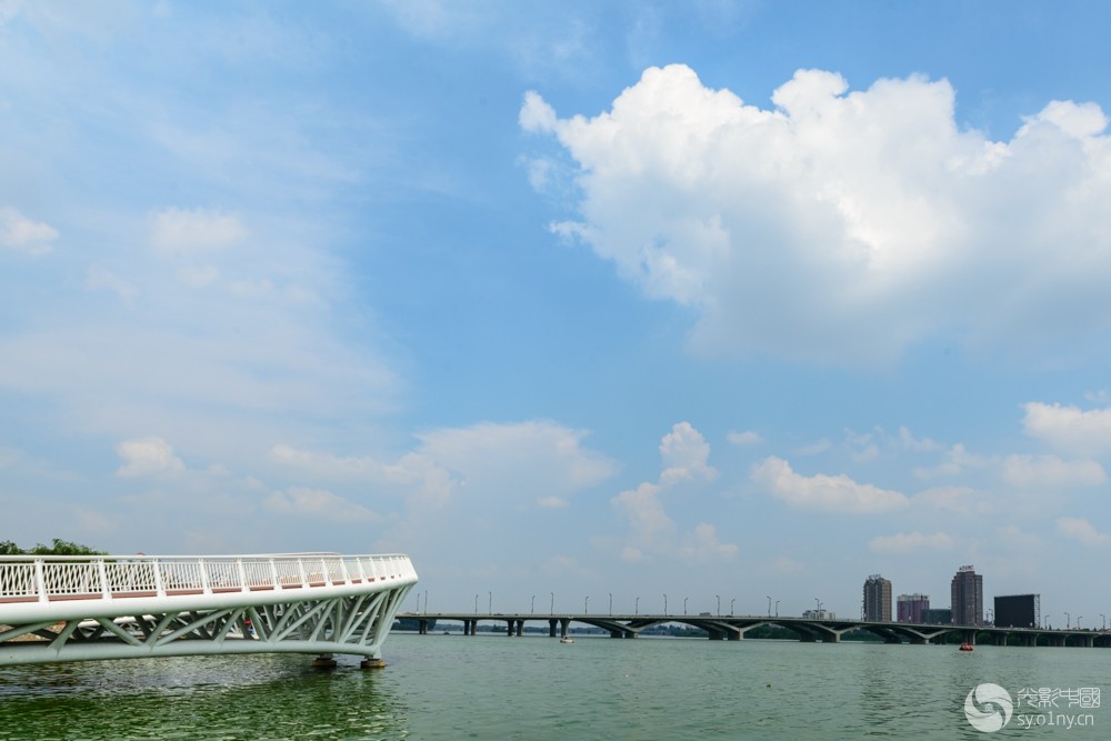 DSC_6864.JPG