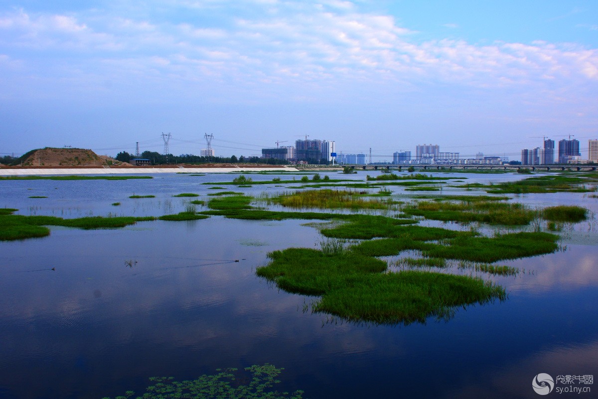 内乡湍河风光2