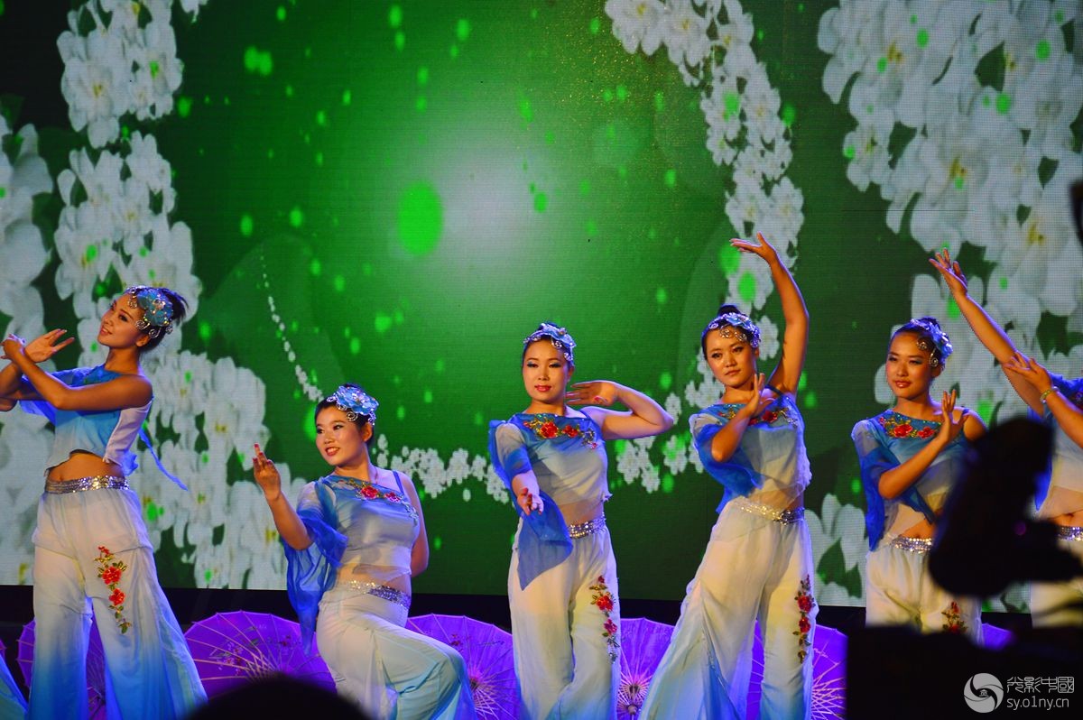 唐河专场唱响白河舞蹈【雨中花】纪实