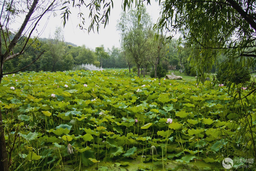 P1220021.jpg