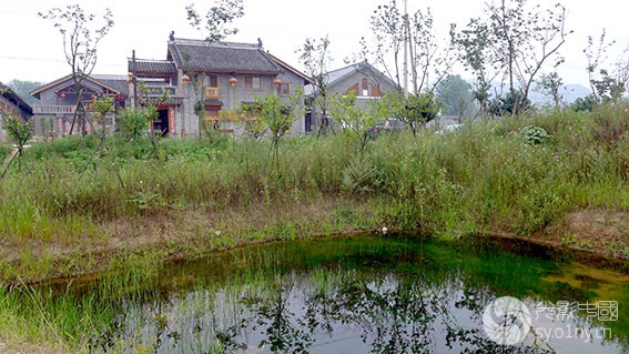 美丽乡村 信阳平桥区郝堂村