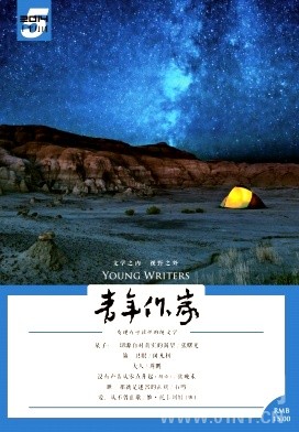 省级文学类刊物《青年作家》杂志社征稿-高校