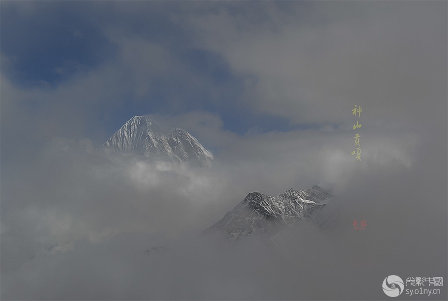DSC_0217.jpg