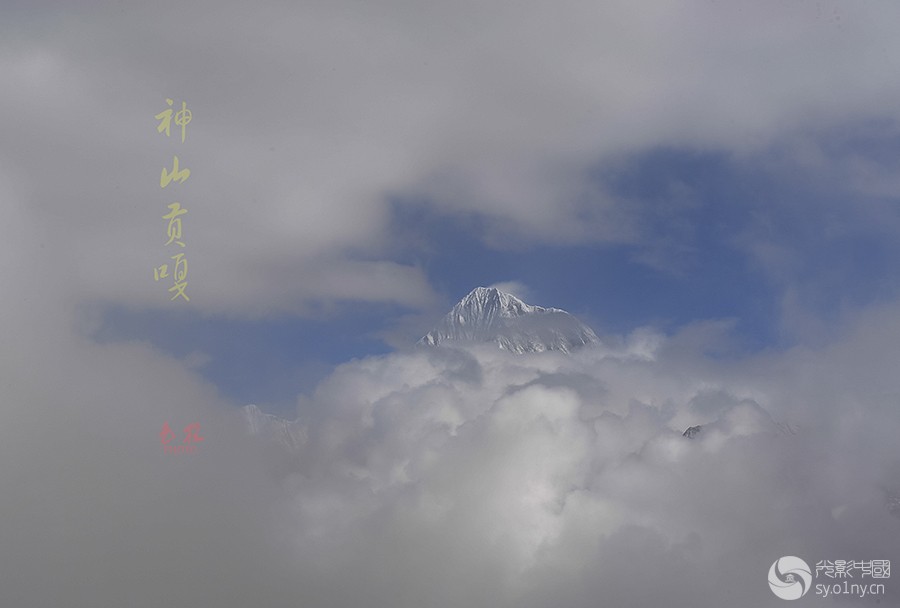 DSC_0219.jpg