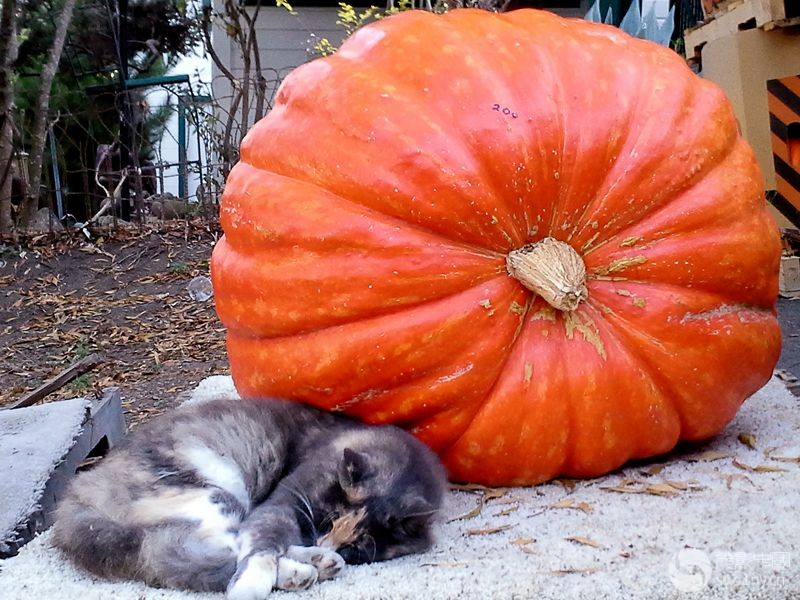 20141019_180856_èϹϣ.jpg
