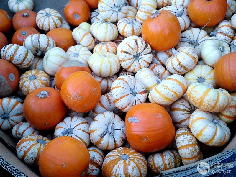 20141019_175503۱Ϲ_.jpg