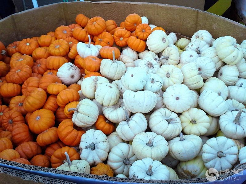20141019_175515_ɫСϹ_.jpg