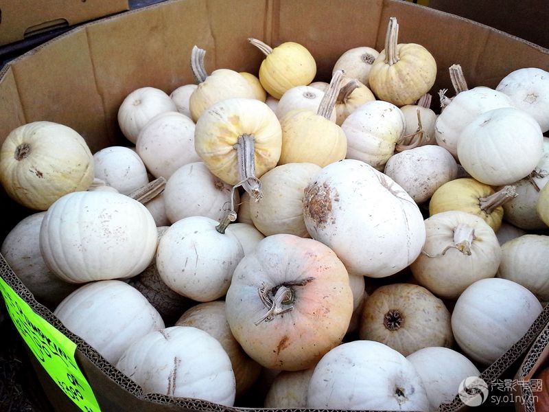 20141019_175601Ϲ_.jpg