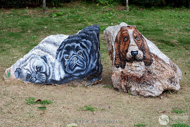 体育摄影部西梅城公园拍摄活动花絮-民风民