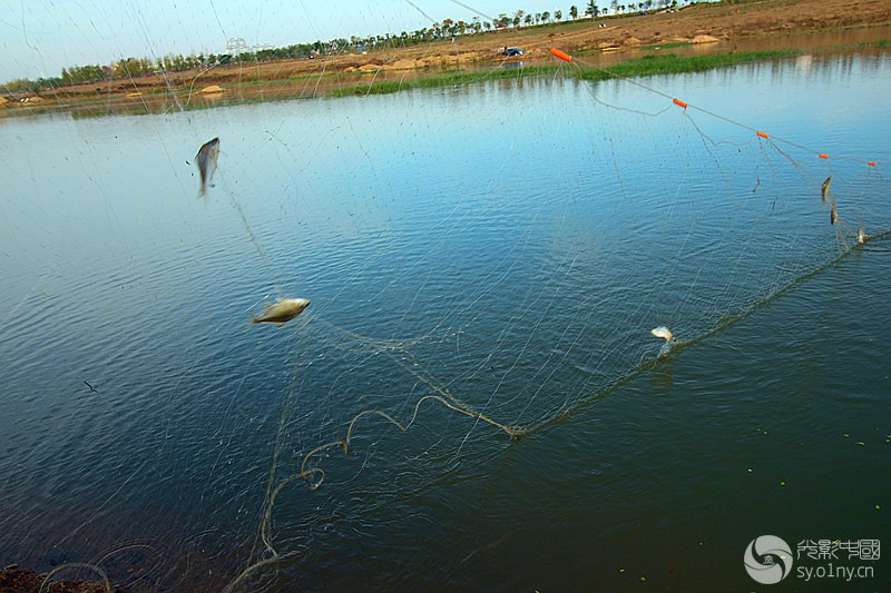 万里寻踪部携影友周六河边逮鱼活动采风3-万里