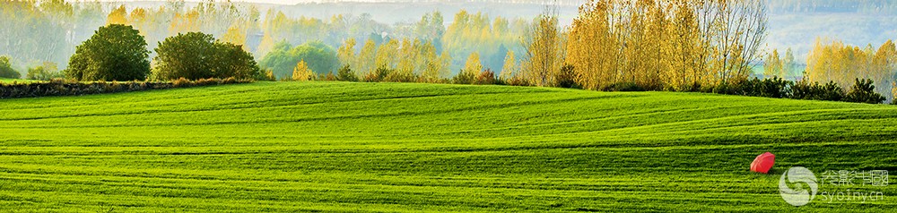 DSC_9472-2.jpg