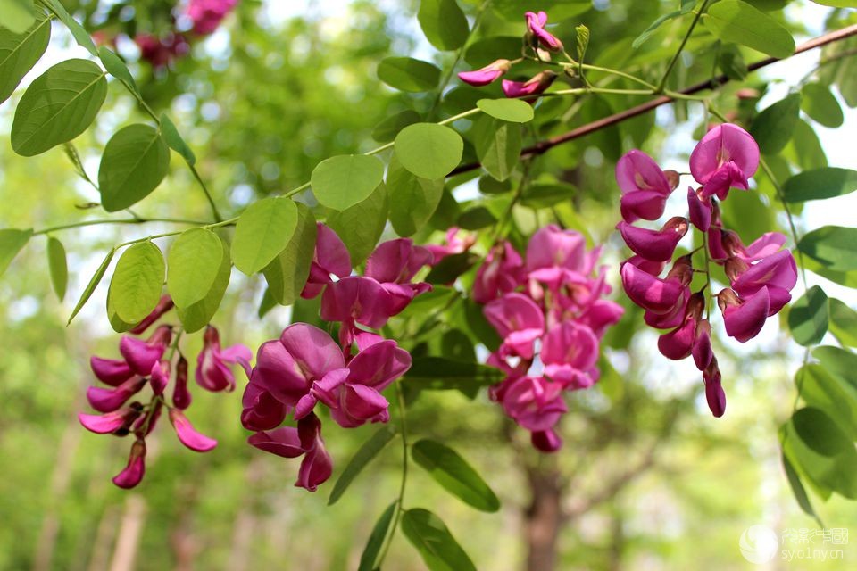 IMG_7208__.jpg