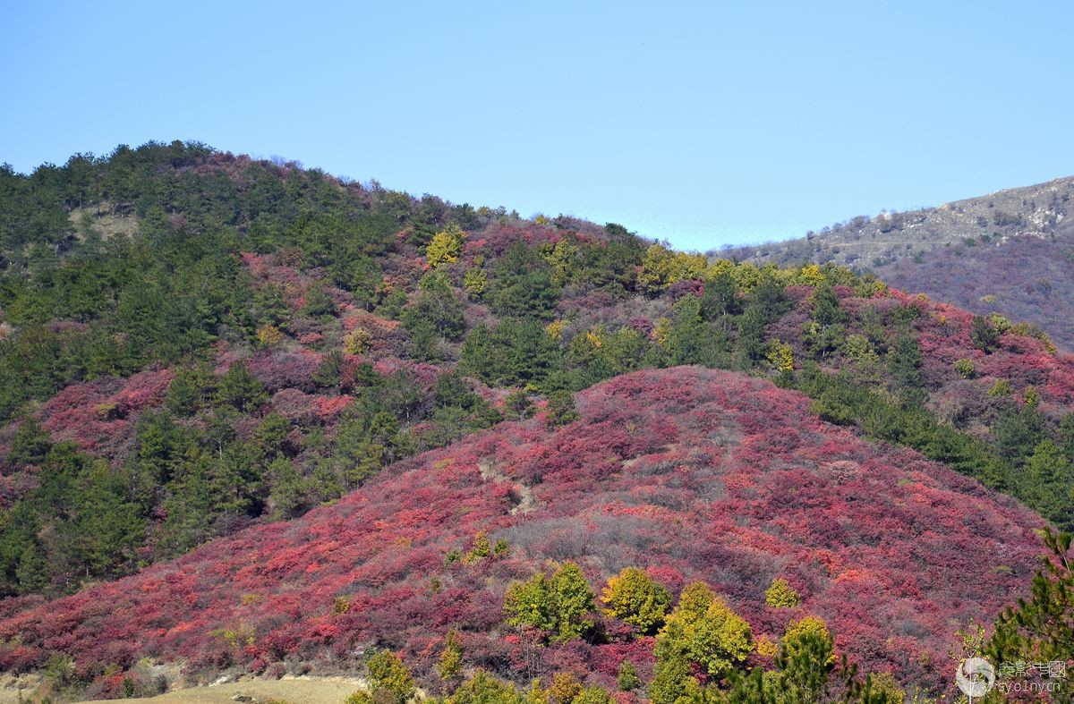 桐柏山风景无限纪实