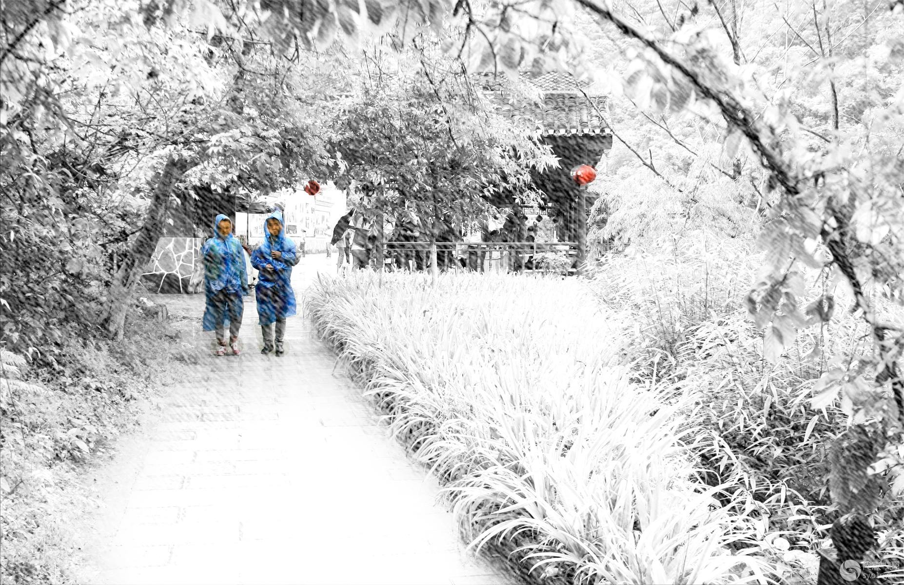 季节变换-新手图集-36行南阳社区-36.01ny.cn